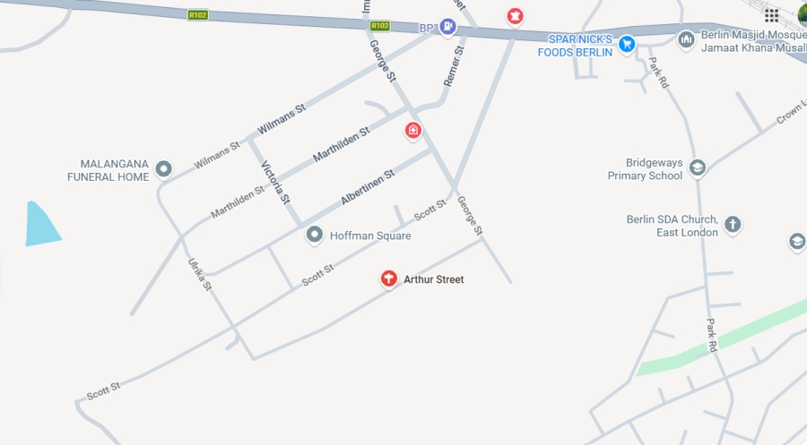 0 Bedroom Property for Sale in Berlin Eastern Cape